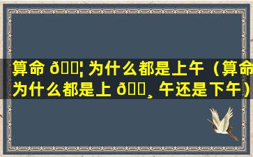 算命 🐦 为什么都是上午（算命为什么都是上 🕸 午还是下午）